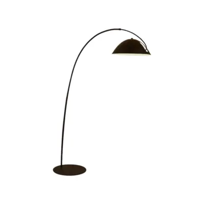 Modern Minimalist Arched Fishing Floor Lamp with Matte Black Iron Finish