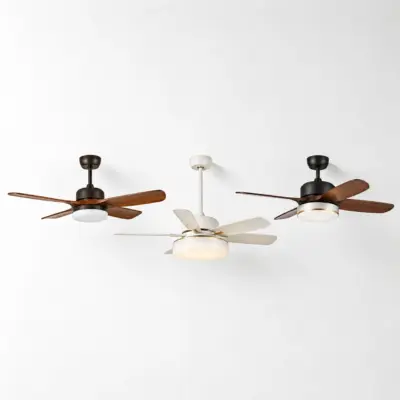 Ceiling Fans