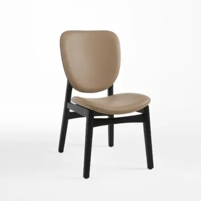Modern Rubberwood Dining Chair
