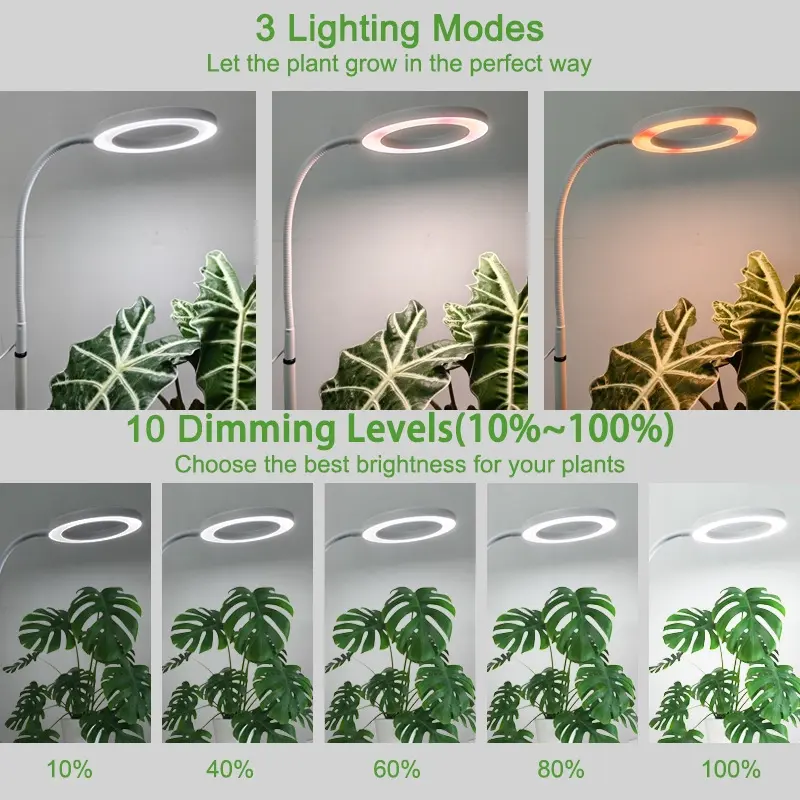 WaBrite full spectrum LED grow light with adjustable telescopic floor stand illuminating indoor plants and monstera.