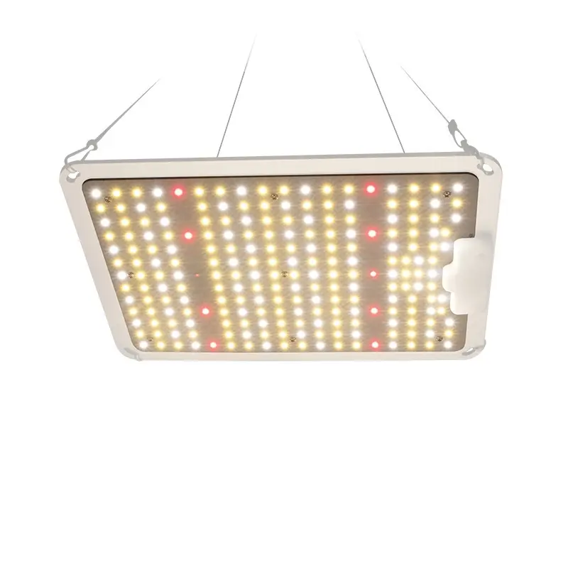 WaBrite full spectrum LED grow light quantum board with hanging ropes and aluminum plate chassis as shown in 3.webp.