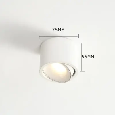 Adjustable LED Surface Mounted Spotlight for Modern Commercial Lighting