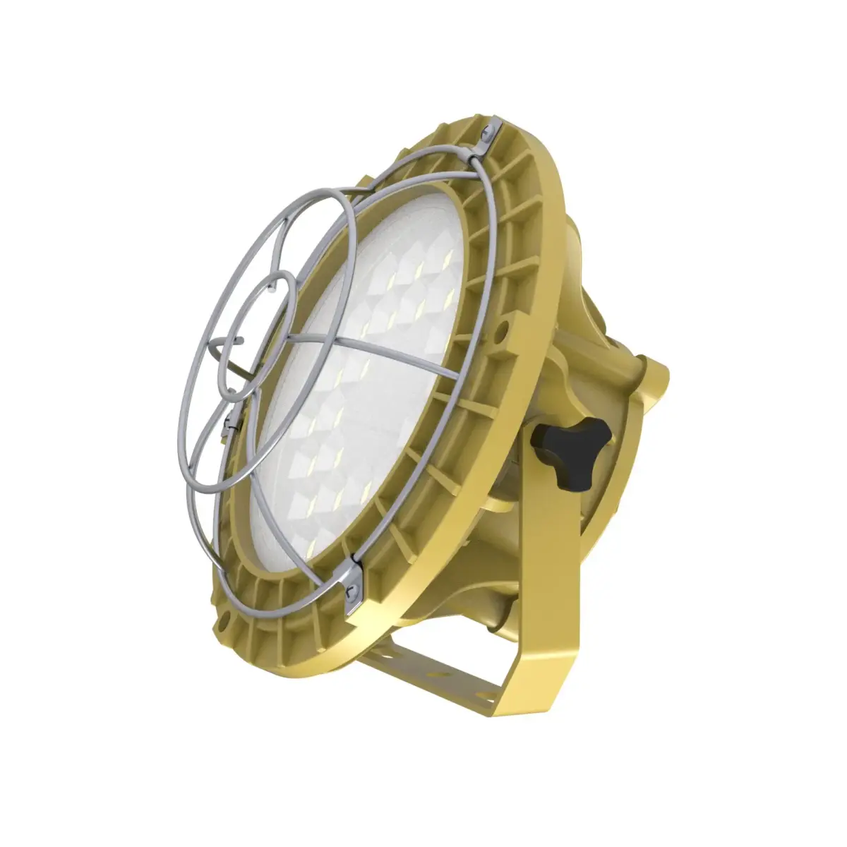 Flexible LED loading dock light with 180-degree rotatable arm.