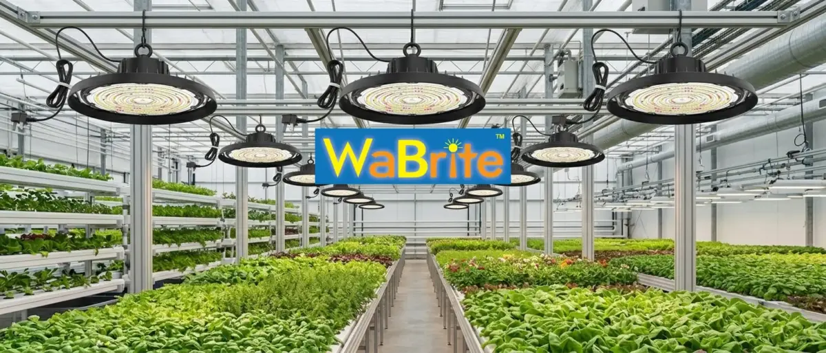 WaBrite black aluminum UFO full spectrum LED grow lights hanging in a commercial greenhouse hydroponic vertical farming facility